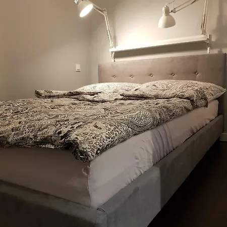 Misvest Karol Xv * 扎布热